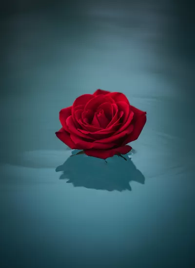 Imagen PNG para descargar